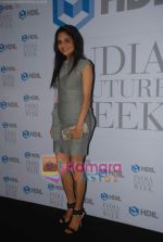 at HDIL opneing bash hosted by Sunny Dewan in Grand Hyatt on 5th Oct 2010 (176).JPG